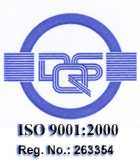 DQS-logo